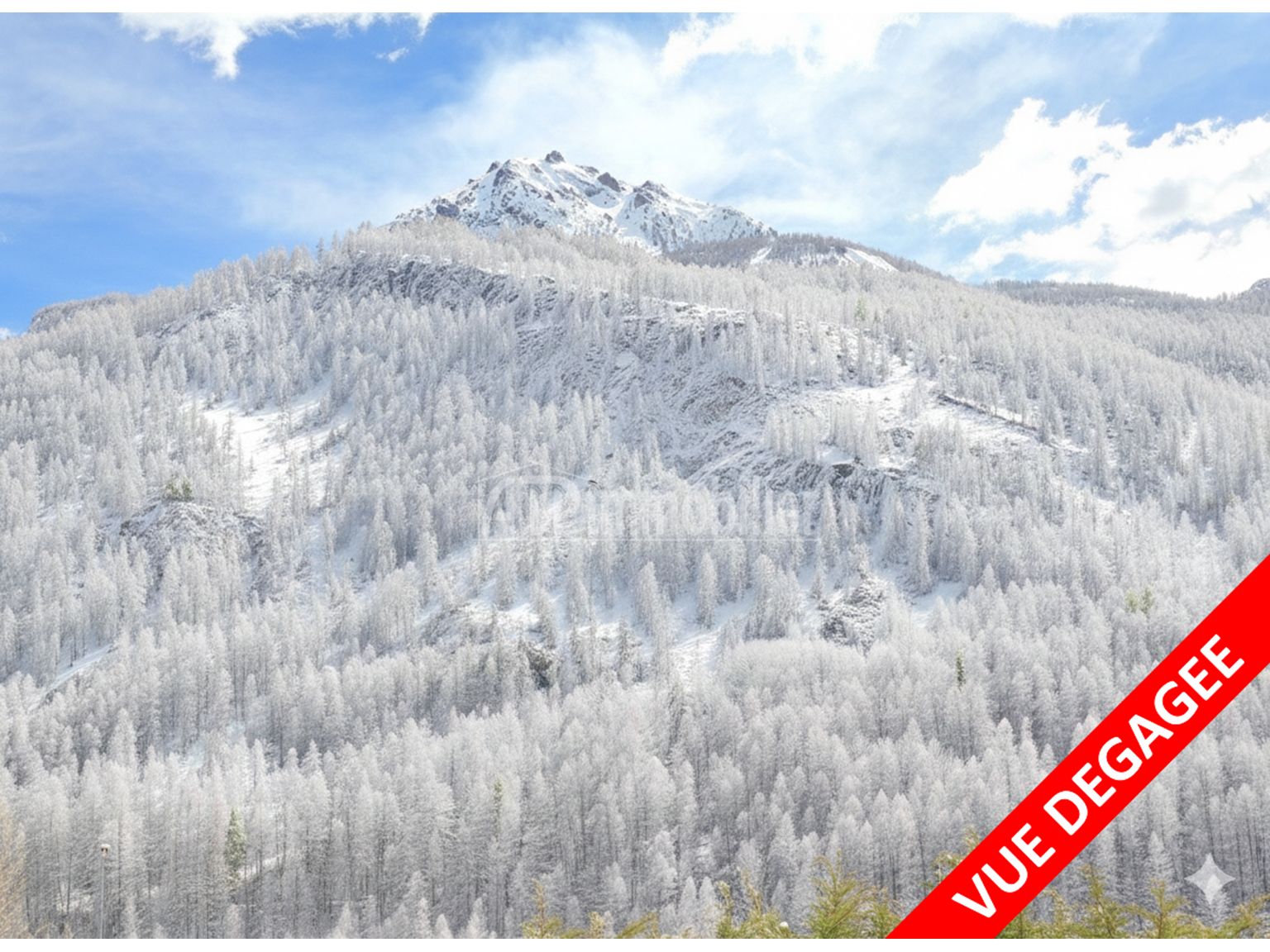 image du bien immobilier Appartement Duplex ST CHAFFREY