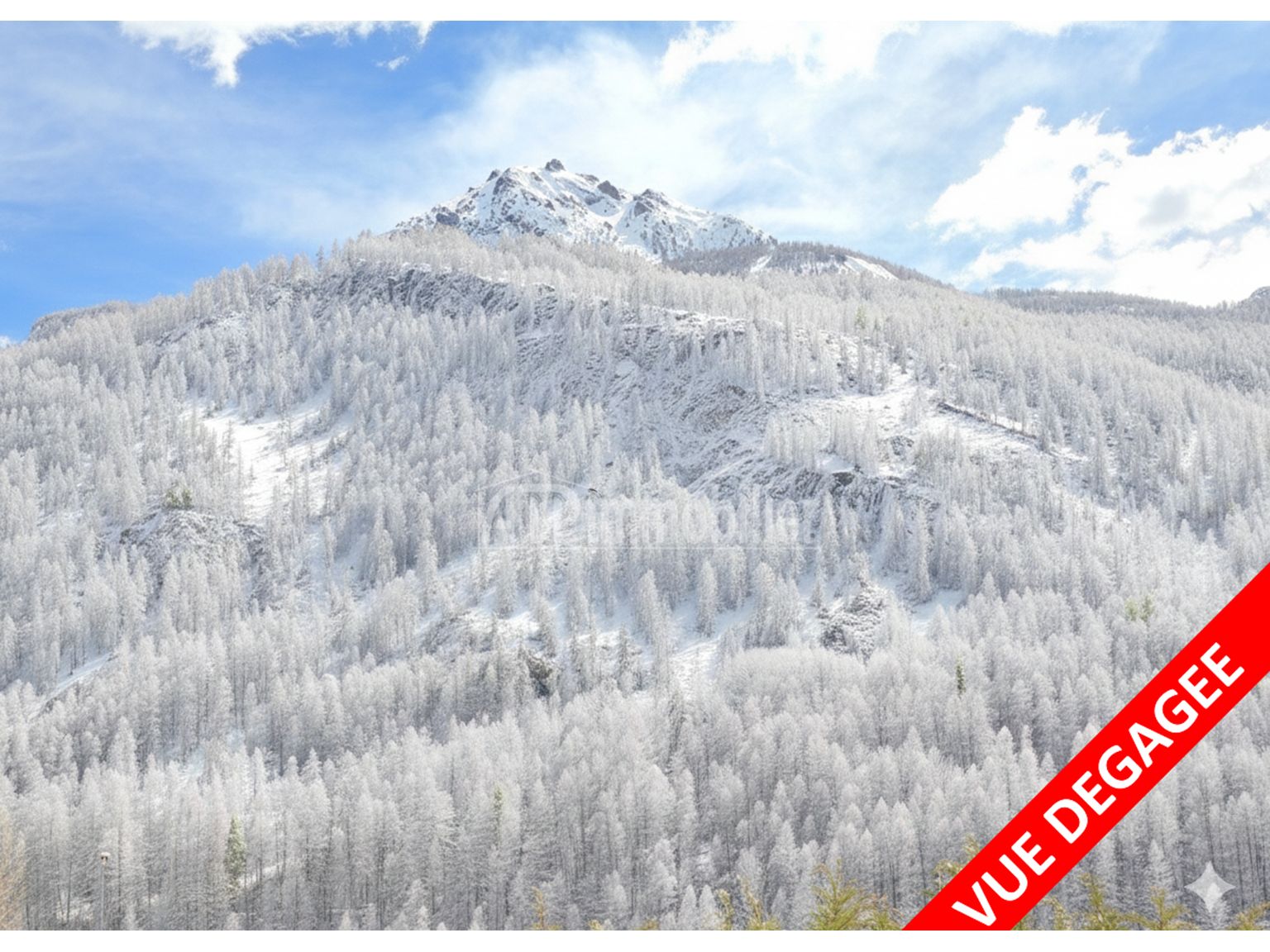 image du bien immobilier Appartement T3 ST CHAFFREY