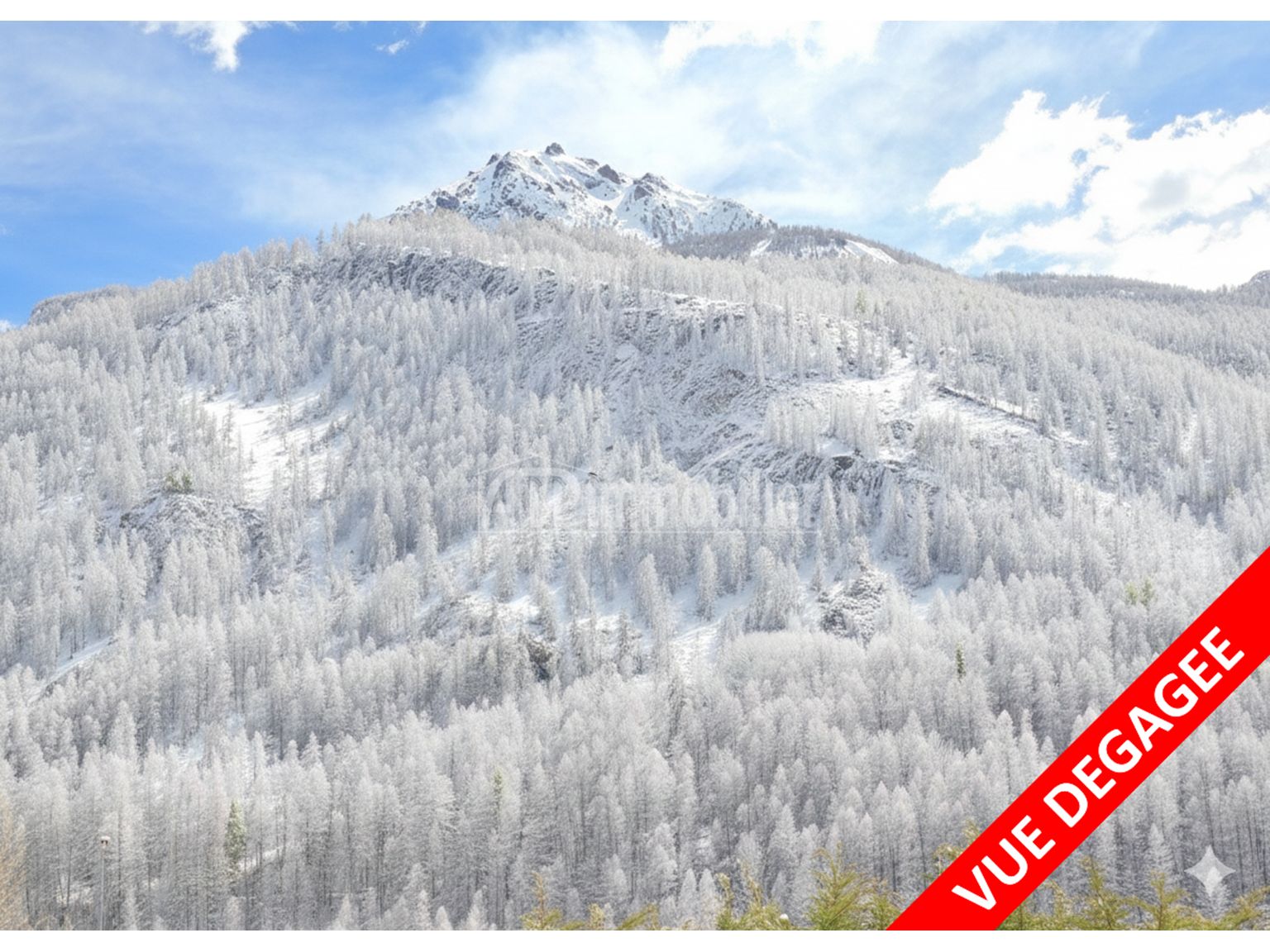 image du bien immobilier Appartement T2 ST CHAFFREY