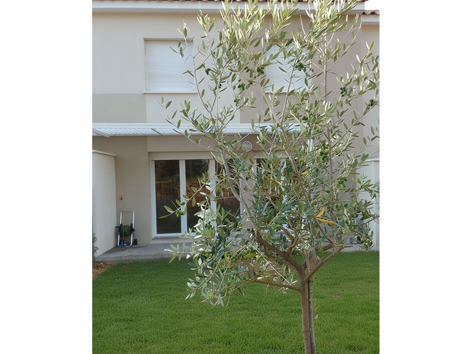 Maison ST MARTIN DE CRAU