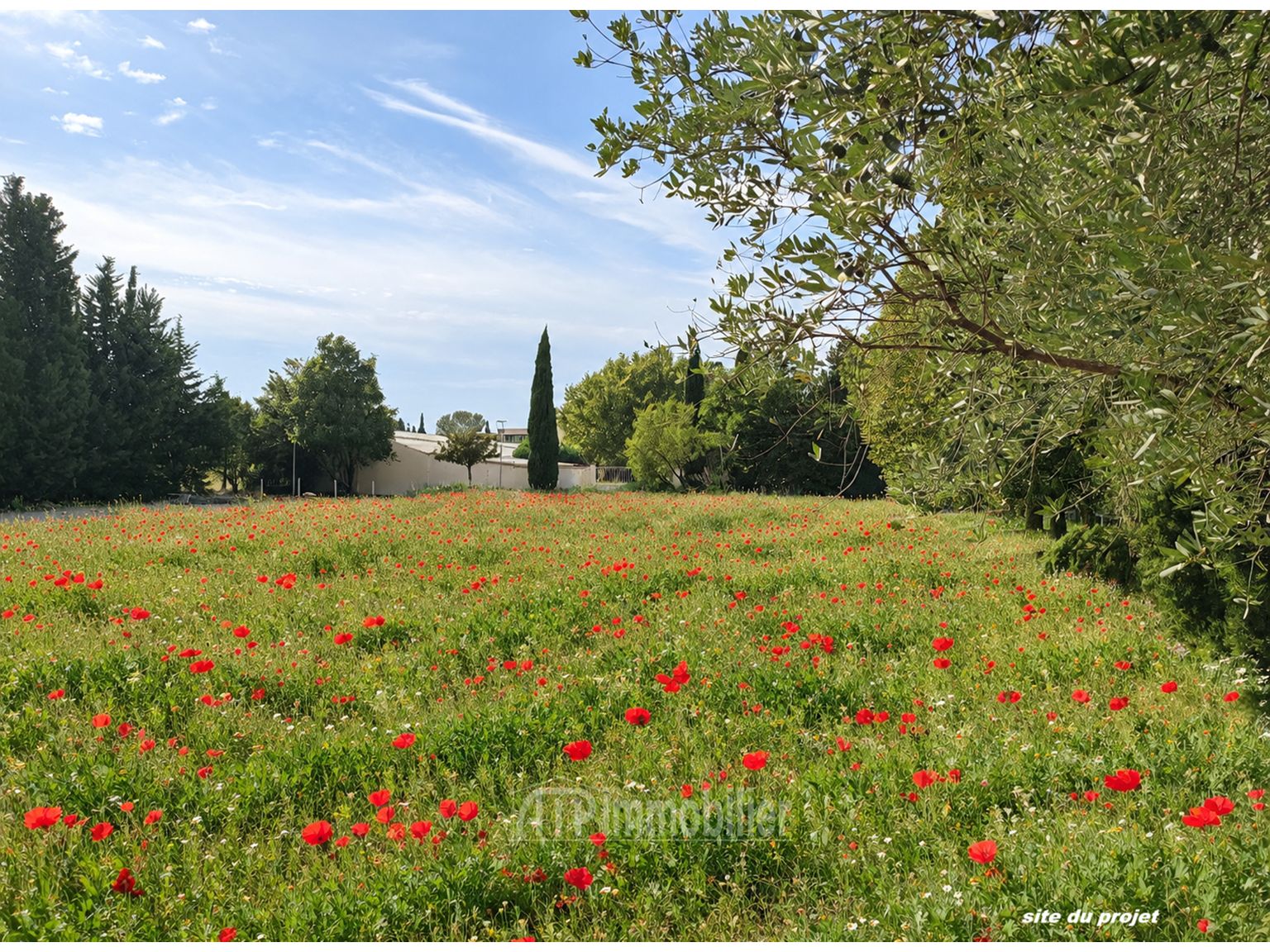 image du bien immobilier Appartement Appartement AVIGNON